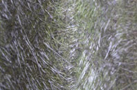 Tixover fibreglass roof work