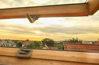 rated Tixover roof window companies